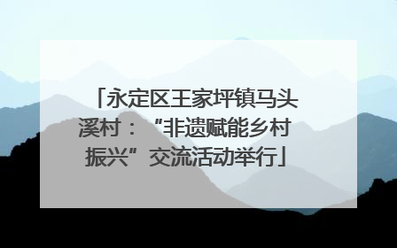永定区王家坪镇马头溪村：“非遗赋能乡村振兴”交流活动举行