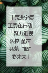 民进宁德工委在行动：聚力近视防控 童声共筑“睛”彩未来