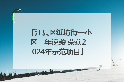 江夏区纸坊街一小区一年逆袭 荣获2024年示范项目