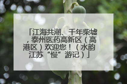 江海共潮、千年柴墟，泰州医药高新区（高港区）欢迎您！（水韵江苏“慢”游记）