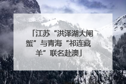 江苏“洪泽湖大闸蟹”与青海“祁连藏羊”联名赴澳