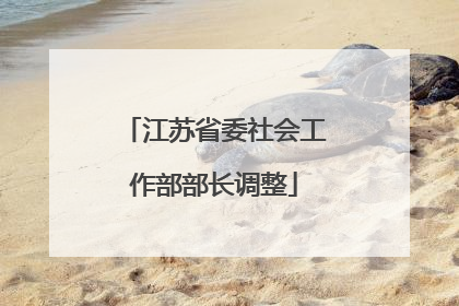 江苏省委社会工作部部长调整