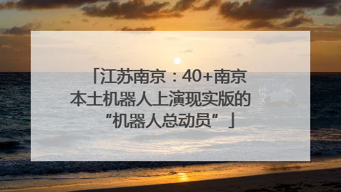 江苏南京：40+南京本土机器人上演现实版的“机器人总动员”