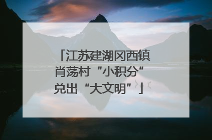 江苏建湖冈西镇肖荡村“小积分”兑出“大文明”