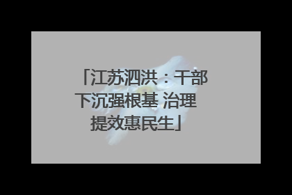 江苏泗洪：干部下沉强根基 治理提效惠民生