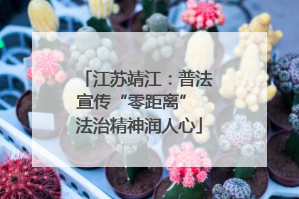 江苏靖江：普法宣传“零距离” 法治精神润人心