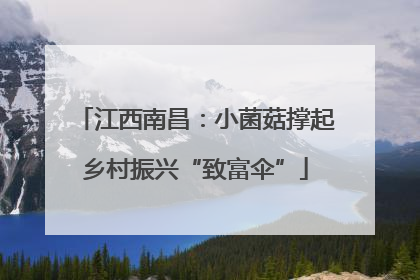 江西南昌：小菌菇撑起乡村振兴“致富伞”
