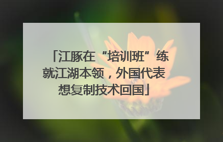 江豚在“培训班”练就江湖本领，外国代表想复制技术回国
