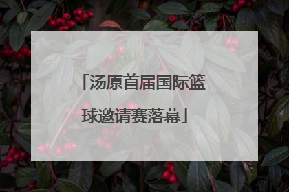 汤原首届国际篮球邀请赛落幕
