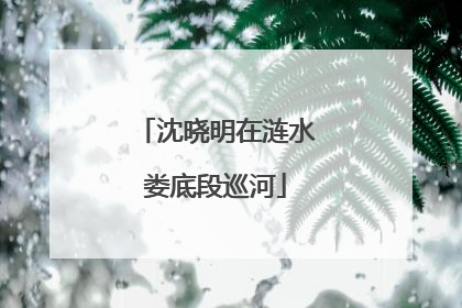 沈晓明在涟水娄底段巡河