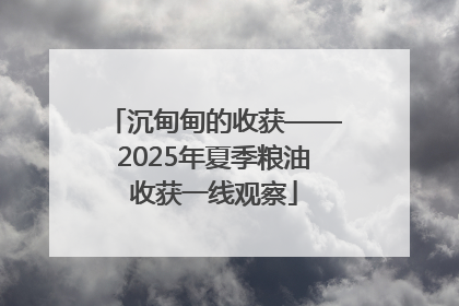 沉甸甸的收获——2025年夏季粮油收获一线观察