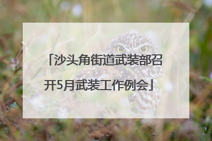 沙头角街道武装部召开5月武装工作例会