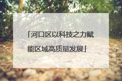 河口区以科技之力赋能区域高质量发展