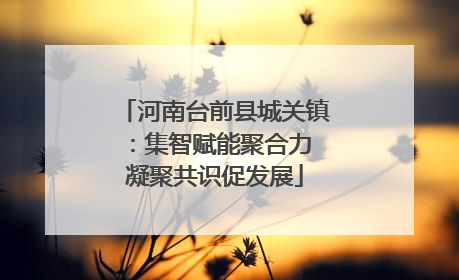 河南台前县城关镇：集智赋能聚合力 凝聚共识促发展