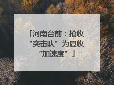 河南台前：抢收“突击队”为夏收“加速度”