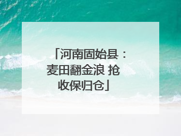 河南固始县：麦田翻金浪 抢收保归仓