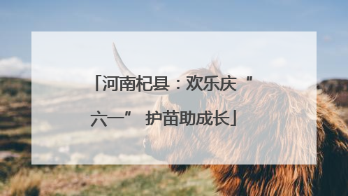 河南杞县：欢乐庆“六一” 护苗助成长