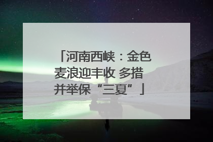 河南西峡：金色麦浪迎丰收 多措并举保“三夏”