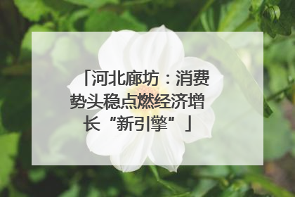 河北廊坊：消费势头稳点燃经济增长“新引擎”