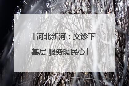 河北新河：义诊下基层 服务暖民心