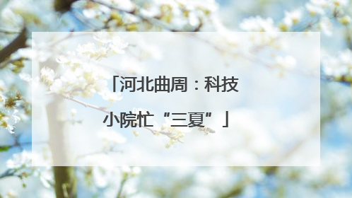 河北曲周：科技小院忙“三夏”