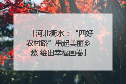 河北衡水：“四好农村路”串起美丽乡愁 绘出幸福画卷