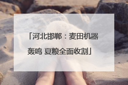 河北邯郸：麦田机器轰鸣 夏粮全面收割