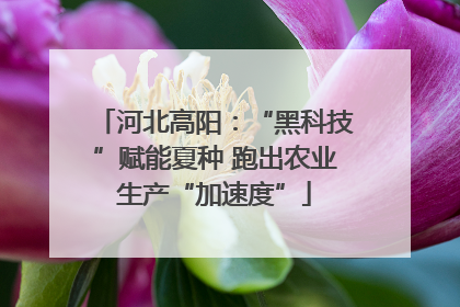 河北高阳：“黑科技”赋能夏种 跑出农业生产“加速度”