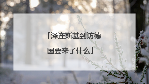 泽连斯基到访德国要来了什么