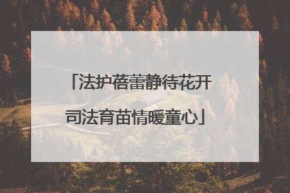 法护蓓蕾静待花开 司法育苗情暖童心
