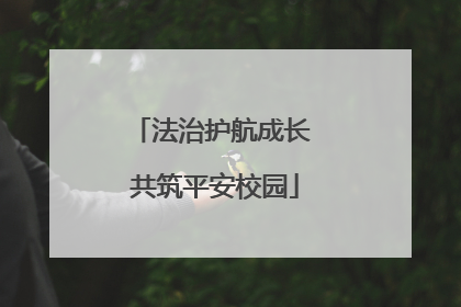 法治护航成长 共筑平安校园