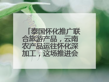 泰国怀化推广联合旅游产品，云南农产品运往怀化深加工，这场推进会干货很多