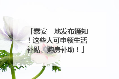 泰安一地发布通知！这些人可申领生活补贴、购房补助！