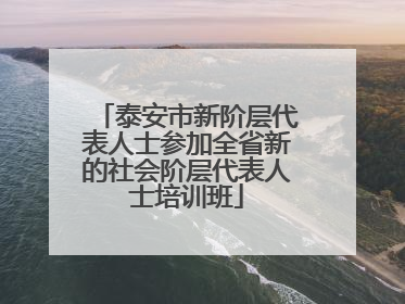 泰安市新阶层代表人士参加全省新的社会阶层代表人士培训班
