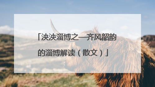 泱泱淄博之—齐风韶韵的淄博解读（散文）
