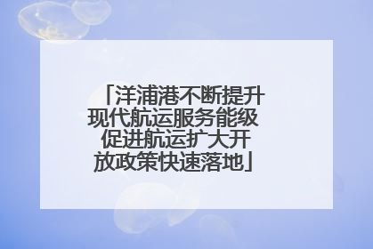 洋浦港不断提升现代航运服务能级 促进航运扩大开放政策快速落地