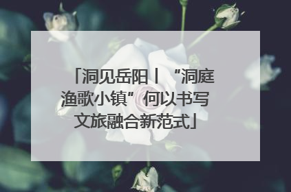 洞见岳阳丨“洞庭渔歌小镇”何以书写文旅融合新范式