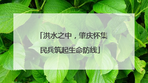 洪水之中，肇庆怀集民兵筑起生命防线