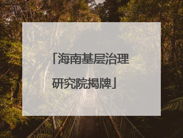 海南基层治理研究院揭牌