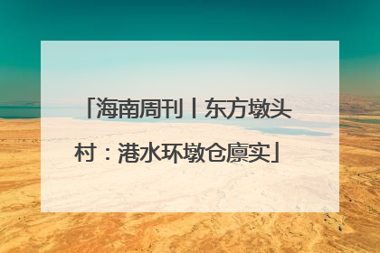 海南周刊丨东方墩头村：港水环墩仓廪实