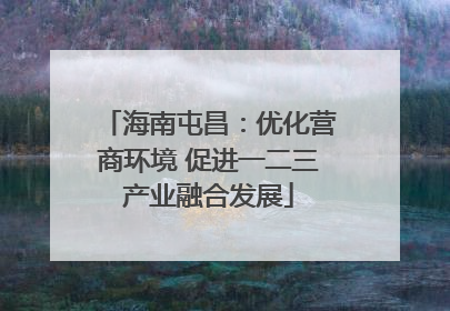 海南屯昌：优化营商环境 促进一二三产业融合发展