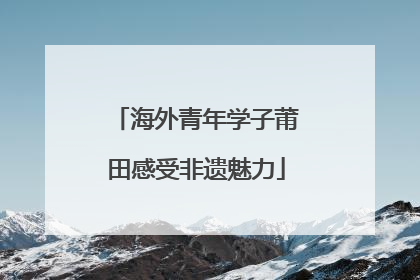 海外青年学子莆田感受非遗魅力