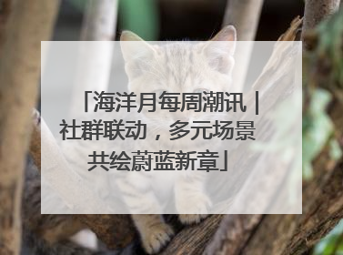 海洋月每周潮讯｜社群联动，多元场景共绘蔚蓝新章