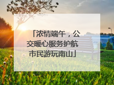 浓情端午，公交暖心服务护航市民游玩南山