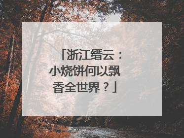 浙江缙云：小烧饼何以飘香全世界？