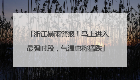 浙江暴雨警报！马上进入最强时段，气温也将猛跌