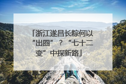 浙江遂昌长粽何以“出圈”？“七十二变”中探新路