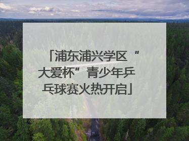 浦东浦兴学区“大爱杯”青少年乒乓球赛火热开启