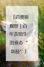 消费新观察｜百年茶馆生出业态“新枝”