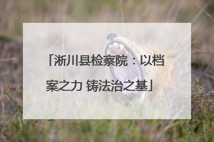 淅川县检察院：以档案之力 铸法治之基